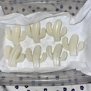 7 Handmade Eucalyptus Mint Cactus Candle Melts